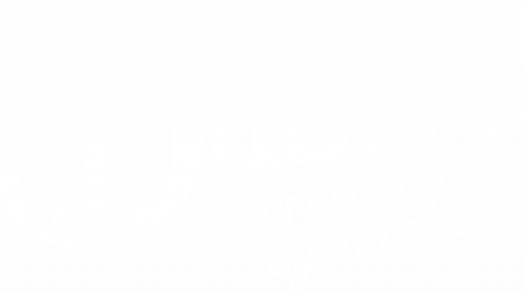 Dublin_Digital-Master-logo_RGB-Negative_English